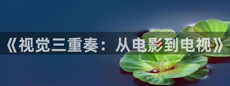 樱桃影院免费观看电视剧大全抢下新