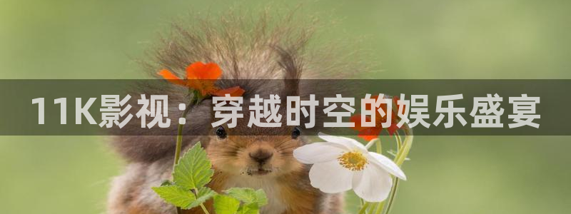 我要看樱桃视频