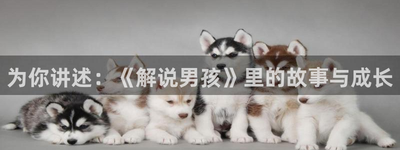 樱桃视频网