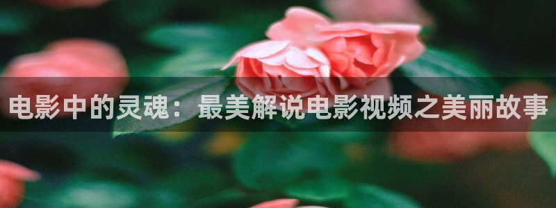 樱桃a