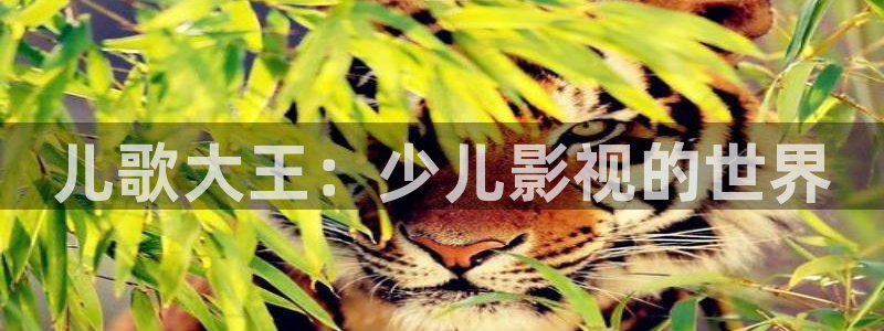 樱桃plus视频