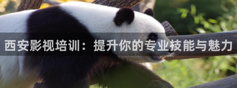 樱桃视频软件安装下载