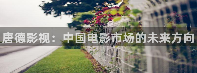 樱桃视频直播在线观看免费高清