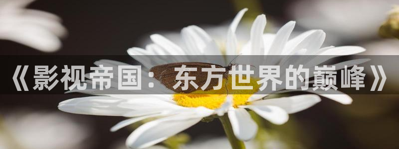 樱桃视频下载污