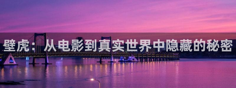 樱桃视频免费国产