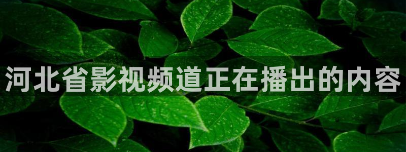 新闻图片